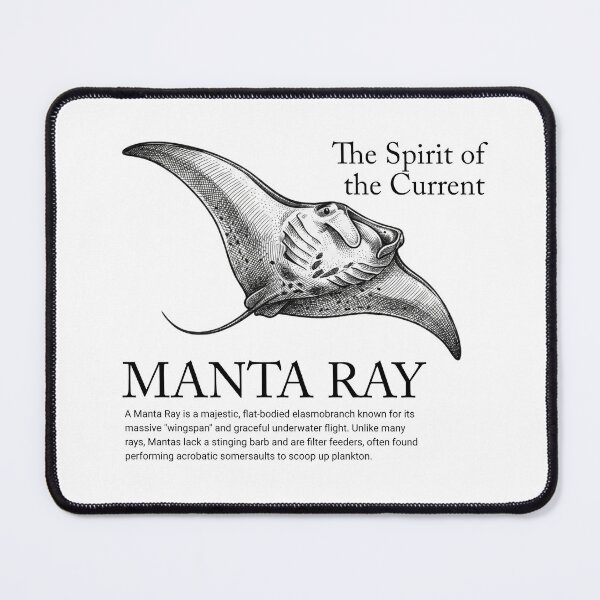 Item preview, Manta Ray - The Spirit of the Current Vintage Marine Biology designed and sold by MotionBanana Art.