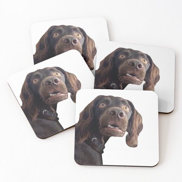 Artikelvorschau, Hunde-Meme entworfen und verkauft von ScrapStudio by Sarai.
