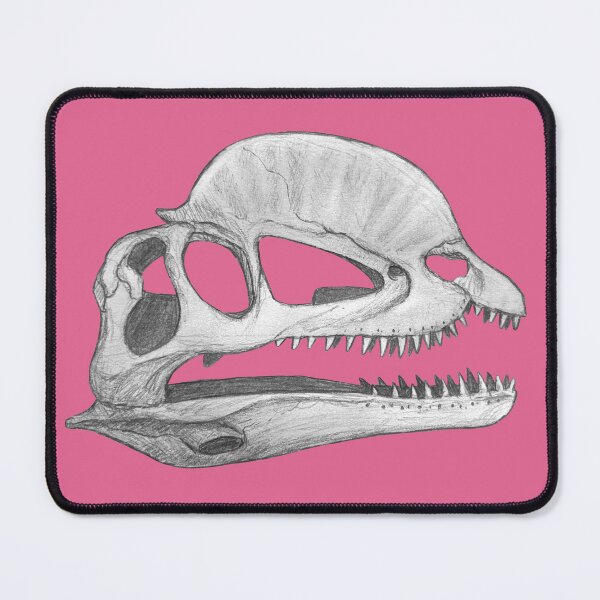 Item preview, Dilophosaurus skull designed and sold by DoodleSnake58.