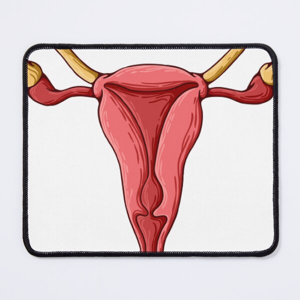 Item preview, Uterus Form designed and sold by AnatoCore-Art.