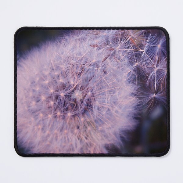 Item preview, tempus fugit designed and sold by Murph's Images.