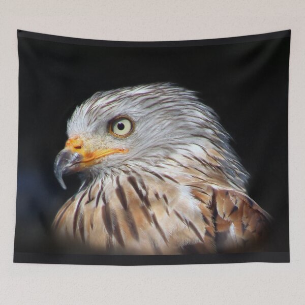 Item preview, kite in close up designed and sold by Murph's Images.