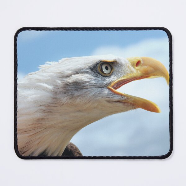 Item preview, screaming eagle designed and sold by Murph's Images.