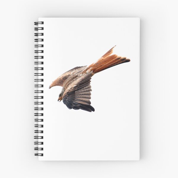 Item preview, diving kite designed and sold by Murph's Images.