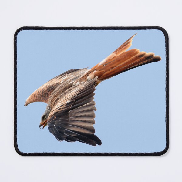 Item preview, diving kite designed and sold by Murph's Images.