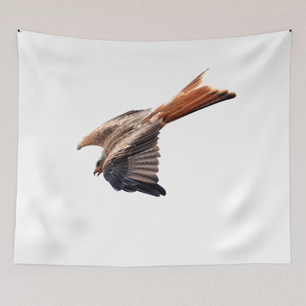 Item preview, diving kite designed and sold by Murph's Images.