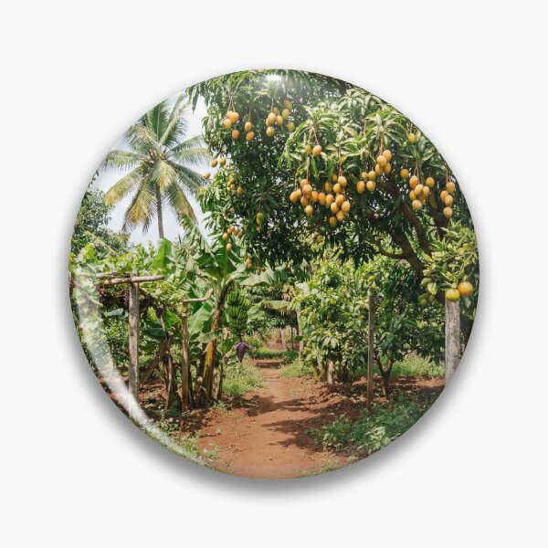 Item preview, Tropical Fruit Garden Path — Mango, Banana, Grape & Citrus Orchard  designed and sold by Mindful Heritage.