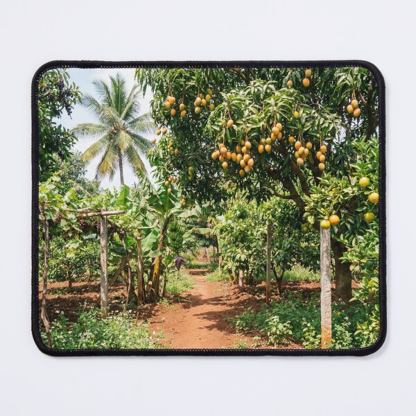 Item preview, Tropical Fruit Garden Path — Mango, Banana, Grape & Citrus Orchard designed and sold by Mindful Heritage.