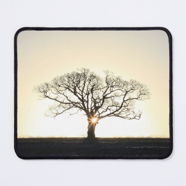 Item preview, in the cold light of day designed and sold by Murph's Images.