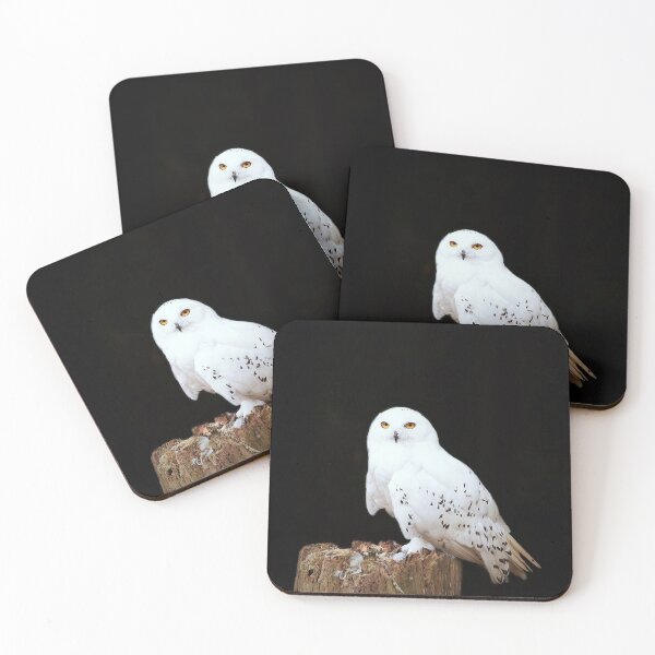 Item preview, snowy designed and sold by Murph's Images.
