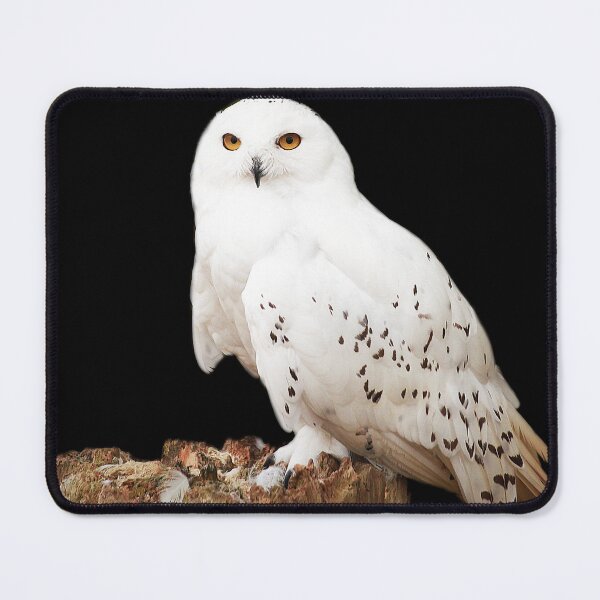 Item preview, snowy designed and sold by Murph's Images.