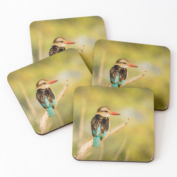 Item preview, Brown-hooded Kingfisher - Soft Green Bokeh African Bird Photography, Kruger National Park designed and sold by Johnathan Robinson Photography.