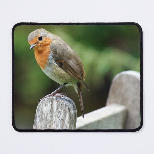 Item preview, cheeky designed and sold by Murph's Images.