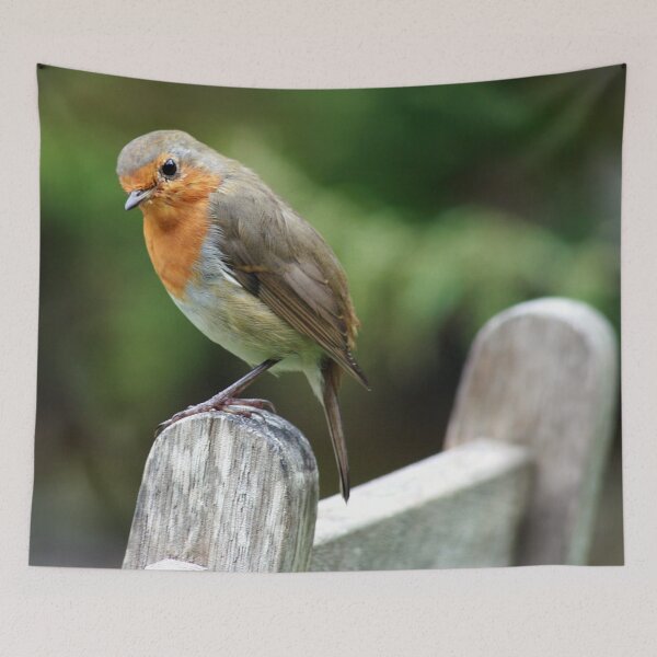 Item preview, cheeky designed and sold by Murph's Images.