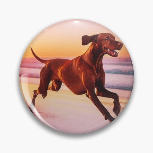 Item preview, Vizsla Dog at Sunset – Beach Run Art designed and sold by Dogandesighn.