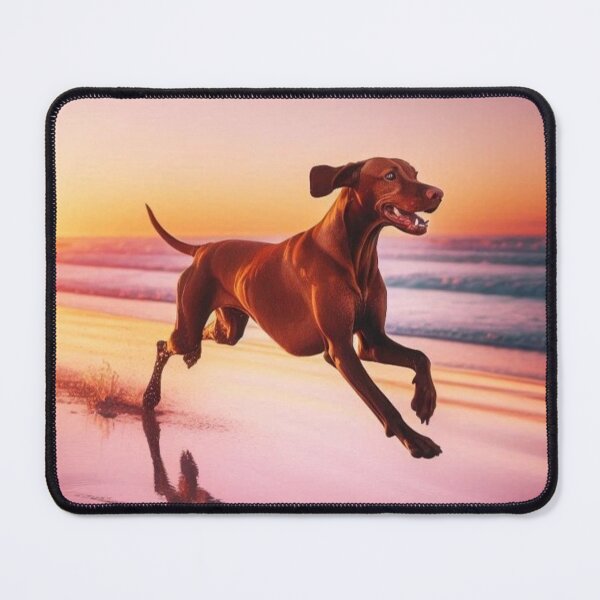 Item preview, Vizsla Dog at Sunset – Beach Run Art designed and sold by Dogandesighn.