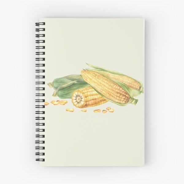 Item preview, Copy of Copy of Corn composition. Yellow sweet cut and whole maize cob, kernel of corn. Watercolor food illustration designed and sold by BartolArt.