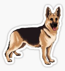 German shepherd dog Sticker