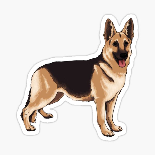 German shepherd dog Sticker