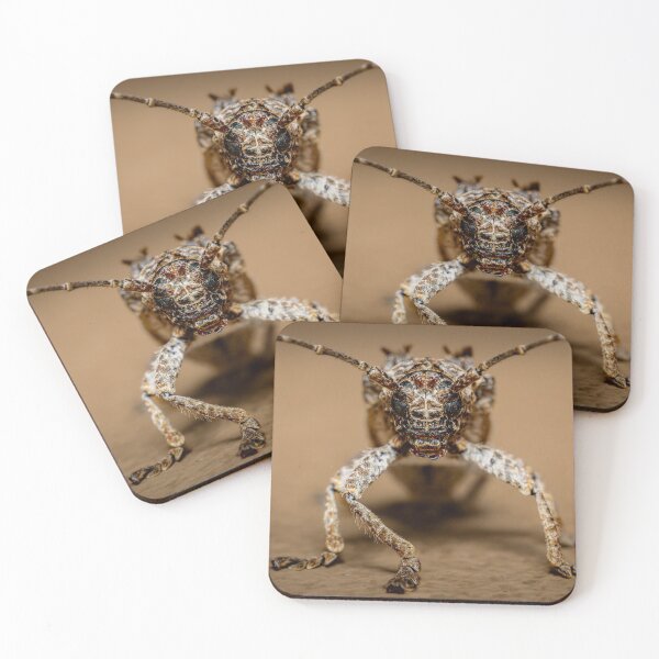 Item preview, Longhorn Beetle Macro Portrait - Extreme Close Up African Insect Photography, Kruger National Park designed and sold by Johnathan Robinson Photography.