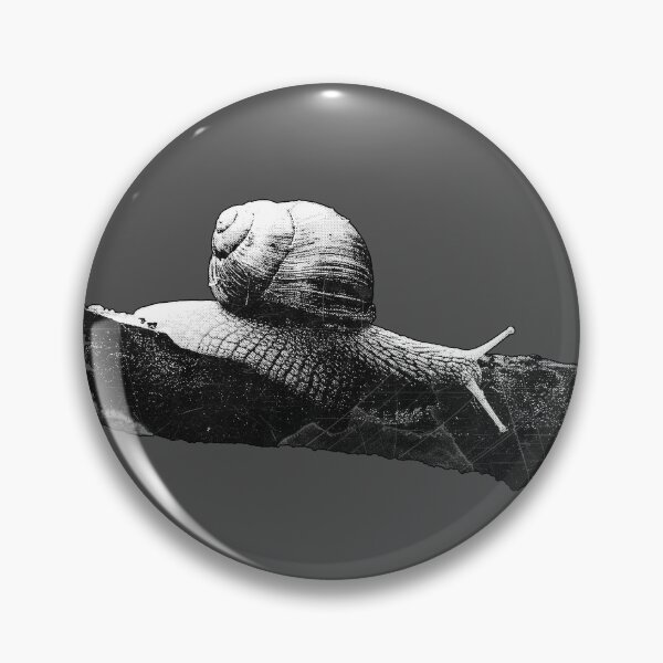 Item preview, Roman Snail Dark Nature Macro Specimen Etched Art designed and sold by Ghoul Enterprises.