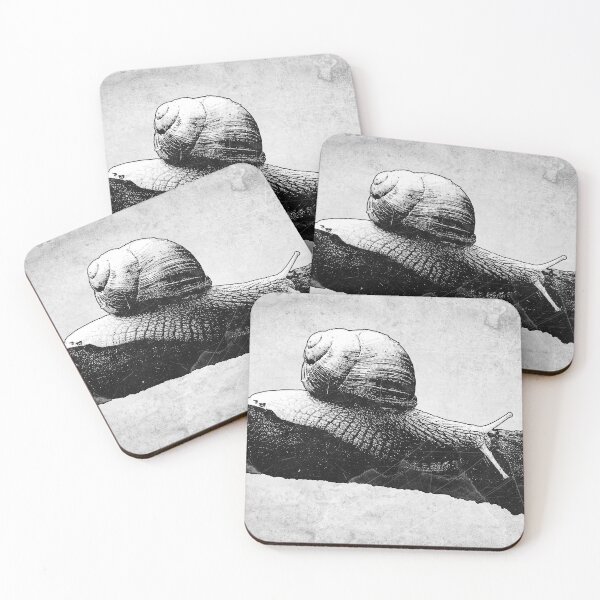 Item preview, Roman Snail Dark Nature Macro Specimen Etched Art designed and sold by Ghoul Enterprises.