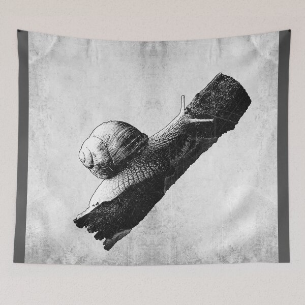 Item preview, Roman Snail Dark Nature Macro Specimen Etched Art designed and sold by Ghoul Enterprises.
