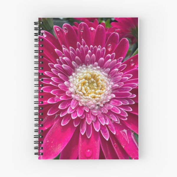 Item preview, Little gems on the pedals of a Gerber Daisy designed and sold by Betsy Phillips.