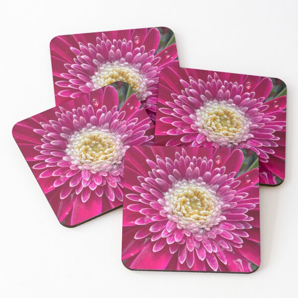 Item preview, Little gems on the pedals of a Gerber Daisy designed and sold by Betsy Phillips.