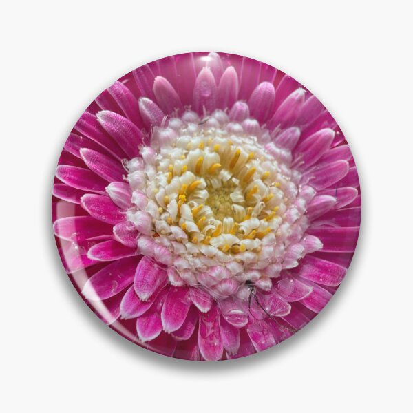 Item preview, Little gems on the pedals of a Gerber Daisy designed and sold by Betsy Phillips.