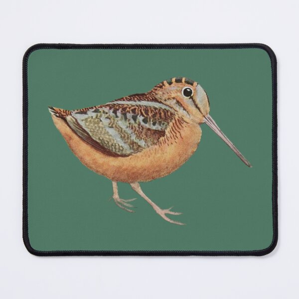 Item preview, Louis Agassiz Fuertes - Longbill the Woodcock designed and sold by HiddenWalnuts.