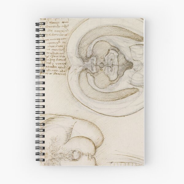 Item preview, The Brain by Leonardo da Vinci Renaissance Anatomical Study Drawing Print designed and sold by artofuniverse.