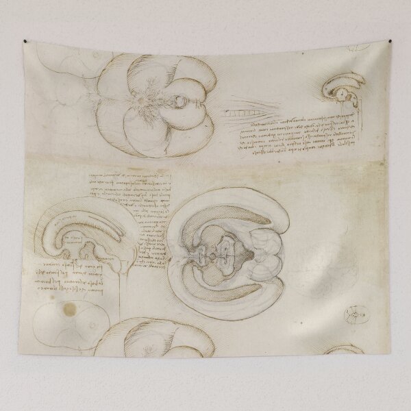 Item preview, The Brain by Leonardo da Vinci Renaissance Anatomical Study Drawing Print designed and sold by artofuniverse.