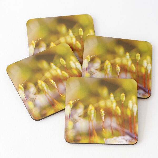 Item preview, Close-Up of Moss Spores in Nature designed and sold by Veikko  Suikkanen.