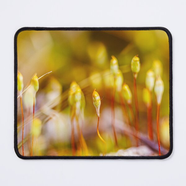 Item preview, Close-Up of Moss Spores in Nature designed and sold by Veikko  Suikkanen.