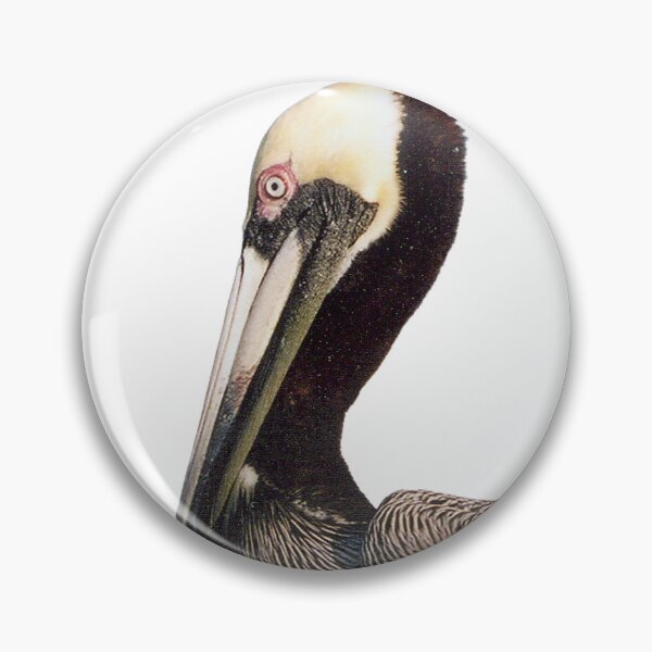 Item preview, Be a Pelican designed and sold by caseyritter.