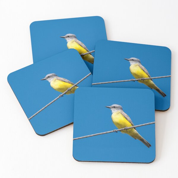 Item preview, Couch’s Kingbird on Wire Against Blue Sky | South Texas Bird designed and sold by Debra Martz.