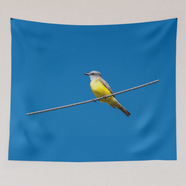 Item preview, Couch’s Kingbird on Wire Against Blue Sky | South Texas Bird designed and sold by Debra Martz.