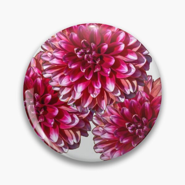 Aperçu de l'œuvre Fleurs Dahlia rose créée et vendue par StylishDecor.