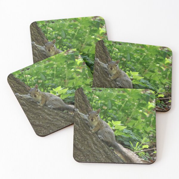 Item preview, Grey Squirrel designed and sold by connorwanderer.