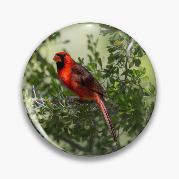 Item preview, Northern Cardinal a Symbol of Hope Love and Remembrance designed and sold by Debra Martz.
