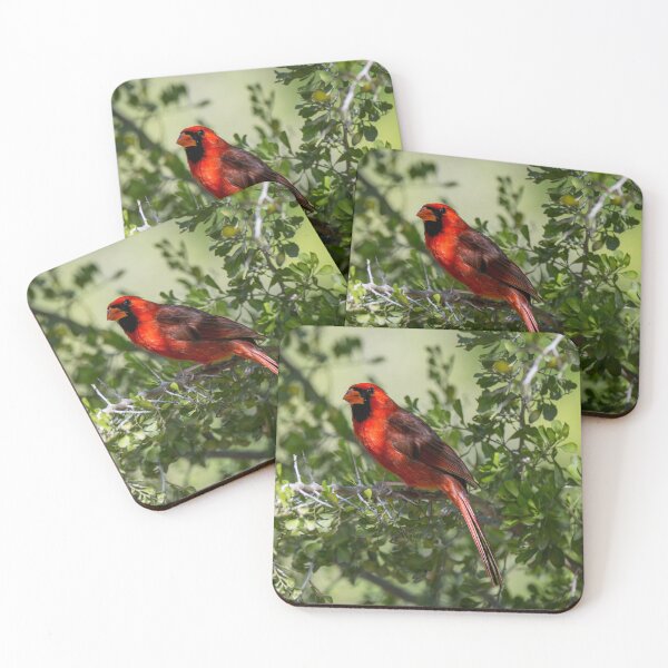 Item preview, Northern Cardinal a Symbol of Hope Love and Remembrance designed and sold by Debra Martz.