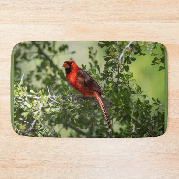Item preview, Northern Cardinal a Symbol of Hope Love and Remembrance designed and sold by Debra Martz.