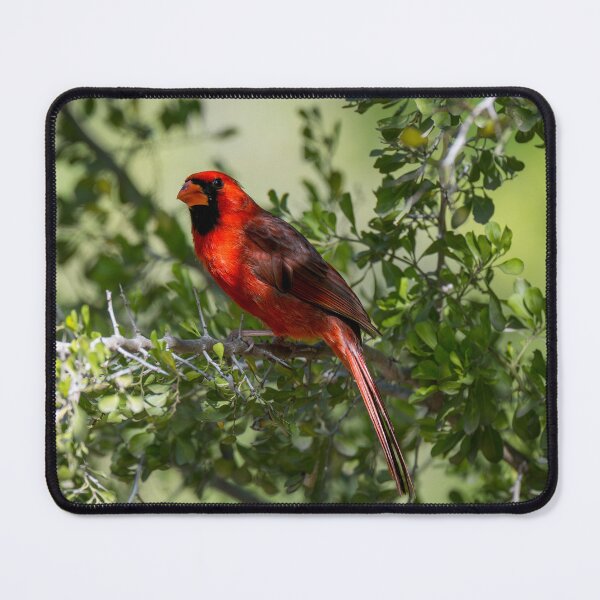 Item preview, Northern Cardinal a Symbol of Hope Love and Remembrance designed and sold by Debra Martz.