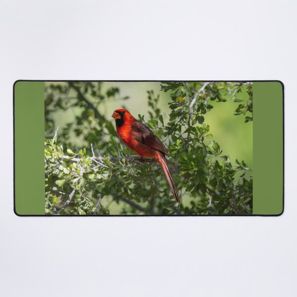 Item preview, Northern Cardinal a Symbol of Hope Love and Remembrance designed and sold by Debra Martz.