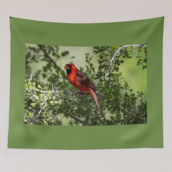 Item preview, Northern Cardinal a Symbol of Hope Love and Remembrance designed and sold by Debra Martz.