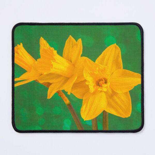 Item preview, Hello Spring! Daffodils designed and sold by JeanKellyPhoto.
