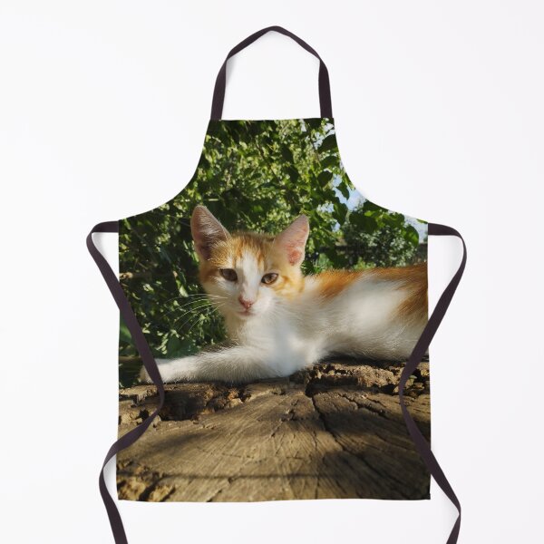 Item preview, Orange and White Kitten Close-Up designed and sold by inspiration3.