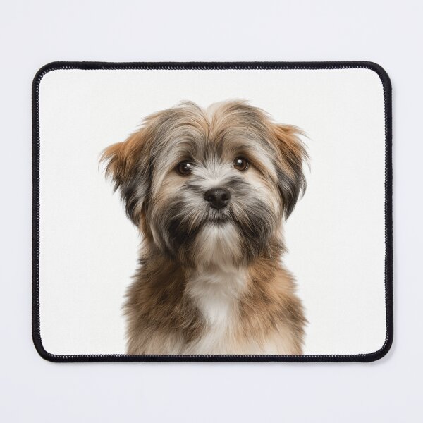 Item preview, Adorable Lhasa Apso Pup for Cute Lhasa Apso puppy lovers designed and sold by LazyOwlStore.