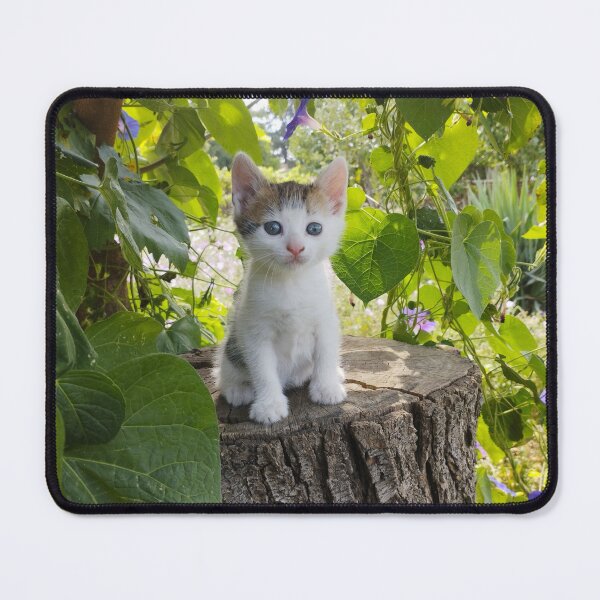 Item preview, Adorable Kitten on a Tree Stump  designed and sold by inspiration3.